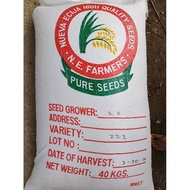 PALAY BINHI TRIPLE 2 CERTIFIED SEEDS HIGH GERMINATION RATE