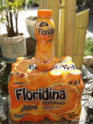 Floridina 1 Dus isi 12 Botol