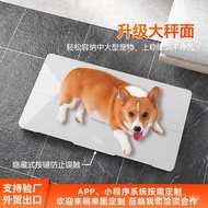 Weight Scale Precise Weighing Ground Weight kg Electronic Weighing Pet Pet Cross-Border Large Pet 30