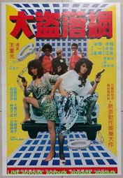 💖懷舊電影 DVD 1982 大盜落網  陸儀鳳 宋長江 陸一嬋 淩峰 趙舜