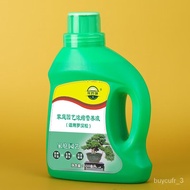 Plants that are truly alive 活着的植物营养活力素杉杉金钱松仙防黄叶罗汉土适用于花玲珑营养液肥料液体柏罗汉松促生根 500ml植物 浓缩 春节新年
