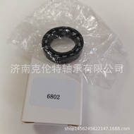 Shandong Bearing Company Full Ceramic Silicon Nitride6802Bearing Ceramic Bearing Supplier Foreign Tr