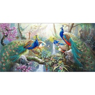 Print Poster, PEACOCK, JUMBO Size, 100x70 cm & 150x100cm & 200x100cm/ Wall Decoration/ Print Paintin