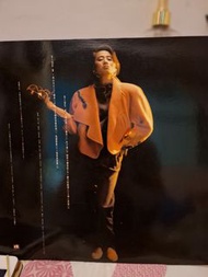 梅艷芳黑膠唱片