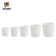 [KOZEEY] Alumina Crucible Cup Melting Casting Refining Gold Silver Metal Pot 20-150ml