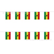 14*21cm(6 Meters/20 Pieces) Bolivia Flag National Festival Banner