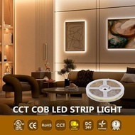 COB LED Strip Lights COB Lights 12V DC 320 LED 8MM Indoor LED Strip Lights COB LED Strip Light Premi