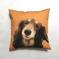 汪喵大抱枕 - 巧克力奶油臘腸 | 威威