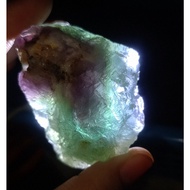 PCH Live Selling 5 Pesos CO Link 1B