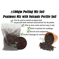 [READY STOCK] ±500gm Potting Mix Soil Peatmoss Mix with Volcanic Perlite Soil