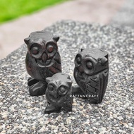 Burung Hantu Kayu / Burung Hantu Bunyi / Wooden Owl Make Sound