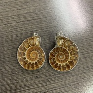 Ammonite Fossil DIY Pendant + Necklace 班彩螺设计款吊坠+ 项链 (1 set 2pcs)
