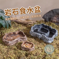 Portland Rock Food Basin Reptile Food Basin Reptile Pet Food Basin Reptile Pet Feeding Water Pet Sim