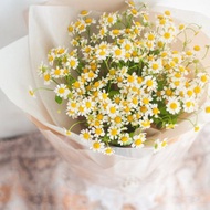 單品花束 | 鄉村風洋甘菊花束 | 可客製