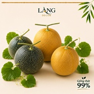 Premium fake melon fruit - 99% realistic model for VIP model home decoration