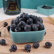 Simulation Blueberry Model Fake Fruit Props Fruit Vegetable Foam Model Fake Blueberry Decoration Win
