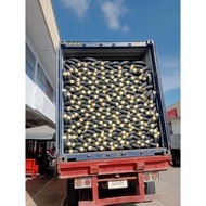 PIRELLI ANGEL SCOOTER ( TUBELESS TIRE ) FREE TIRE PAINT FOR EVERY PURCHASE OF PIRELLI TIRES