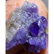 Purple hybrid cobalt blue Spinel
