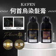 台灣 KA'FEN 何首烏染髮膏Plus 200ml