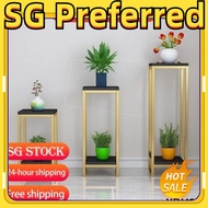 Flower pot stand【SG stock】plant stand/flower stand/plant rack stand/flower rack stand/flower pot sta