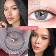 Look fresh gray Contact Lenses