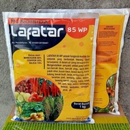 READY Fungisida kontak dan sistemik LAFATAR 85 WP 1kg Untuk