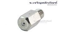 หัวอัดจารบีสแตนเลส M3 M4 แบบตรงหัวหกเหลี่ยมเล็ก Stainless Steel 304, Straight-Type Grease Nipple