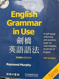 English Grammar In Use