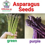 12 Asparagus Seeds Garden Seeds non-GMO Vegetable Seeds for planting Vegetables (fr SG)