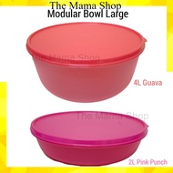 Modular Bowl Large Tupperware Original ️ Ready Stock Bekas Plastik Tupperware
