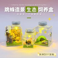 Jumping Spider Ecological Landscaping Breeding Box Acrylic Box High Transparent Box Jumping Spider P