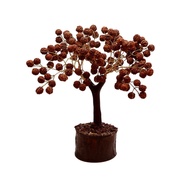 Ruduraksha Tree - Natural 5 face Rudraksha Tree