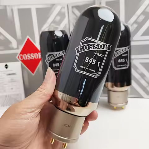 Aogutx PSVANE Cossor 845 Vacuum Tube Upgrade Replace VT-4C 845 Series HiFi Audio Power Amplifier Mat