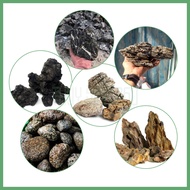 Stone of All Kinds for Aquarium Setup - Use Aquarium Setup, Aquarium - Small Landscape, Semi-terrain