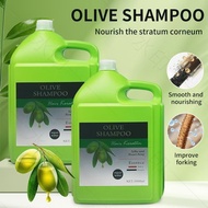 Insty Olive 5000ml Hair Shampoo (1 Bottle)