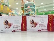 Nhỏ gáy loại trừ ve rận Revolution cho chó mèo (1 tuýp)