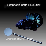 🔥Size Besar 5.1cm/51mm🔥Extendable &amp; Adjustable Betta Flare/Tranning Stick / Cermin Flare (Ready Stock)