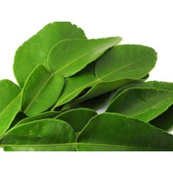 Fresh Perpack Kaffir Lime Leaves