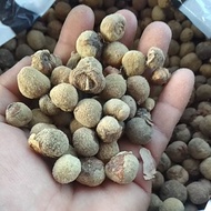 Biji Jati Emas 500gram Unggul