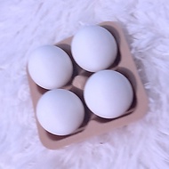 Egg Clicker Fidget Toy | Stress Relief Clicker | Portable Mini Toy