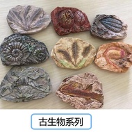 Pinocchio Archaeological Handmade DIY Paleo Biological Fossil Model Ammonite Dinosaur Egg Toy