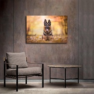 Dog German Shepherd Animal Poster Canvas Print Painting Picture Wall Art Gift Home Corridor Bedroom 