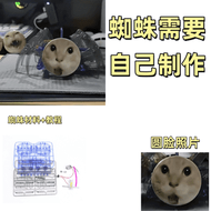 Bộ Vật Liệu Tự Làm Robot Mèo Điện Tự Làm Mô Hình Động Vật Meme Cat DIY Kit Star Moon Premium Brand H