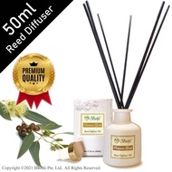 Biolife Eucalyptus Scented Sticks Reed Diffuser Essential Oil (50ml Reed Diffuser Set)