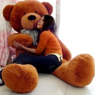 Giant Teddy Bear 160cm / 1.6 Meter Big Teddy Bear Besar Teddy Bear Murah Stuffed Toys Plush Toys Bir