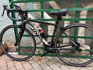 JAVA Decaf 公路車入門單車