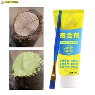 COUMTTERDGUB Tree Wound Sealant, Tree Repair Smear Agent Grafting Tree Sealer,  with Brush 100g Plan