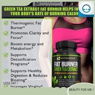 Premium Green Tea Extract Fat Burner Supplement with EGCG - Natural Appetite Suppressant - Healthy W