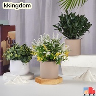 KKINGDOM False Plant Pot, Evergreen Fake Flower Artificial Plant Bonsai, Simulation Plastic Plant Bo