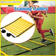 Sale!!!!..!! Agility Ladder Drills Speed Agility Ladder Futsal Ladder 6M 12 blades Futsal Soccer Soc